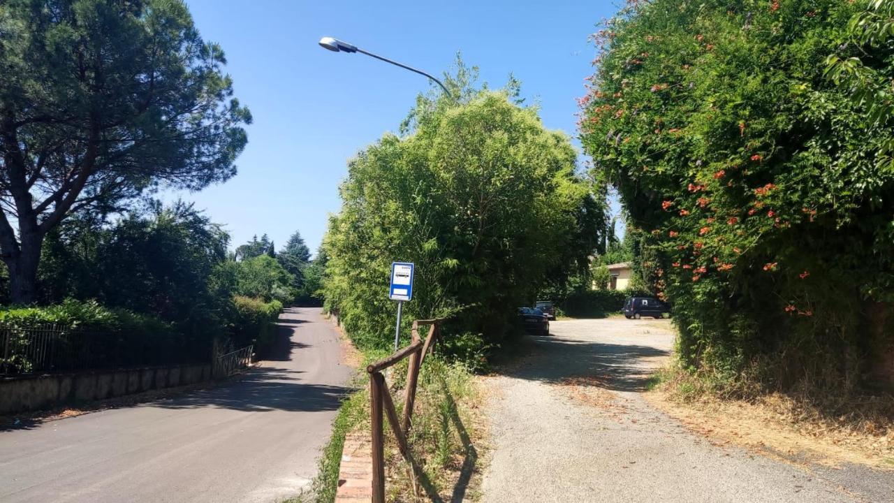 La Perla Nel Parco, Un'oasi Di Pace Nella Natura * Sovicille